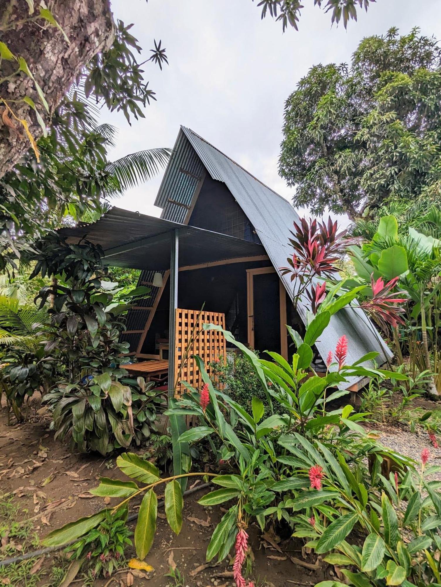 Arboura Eco Cabins Villa Uvita Exterior photo