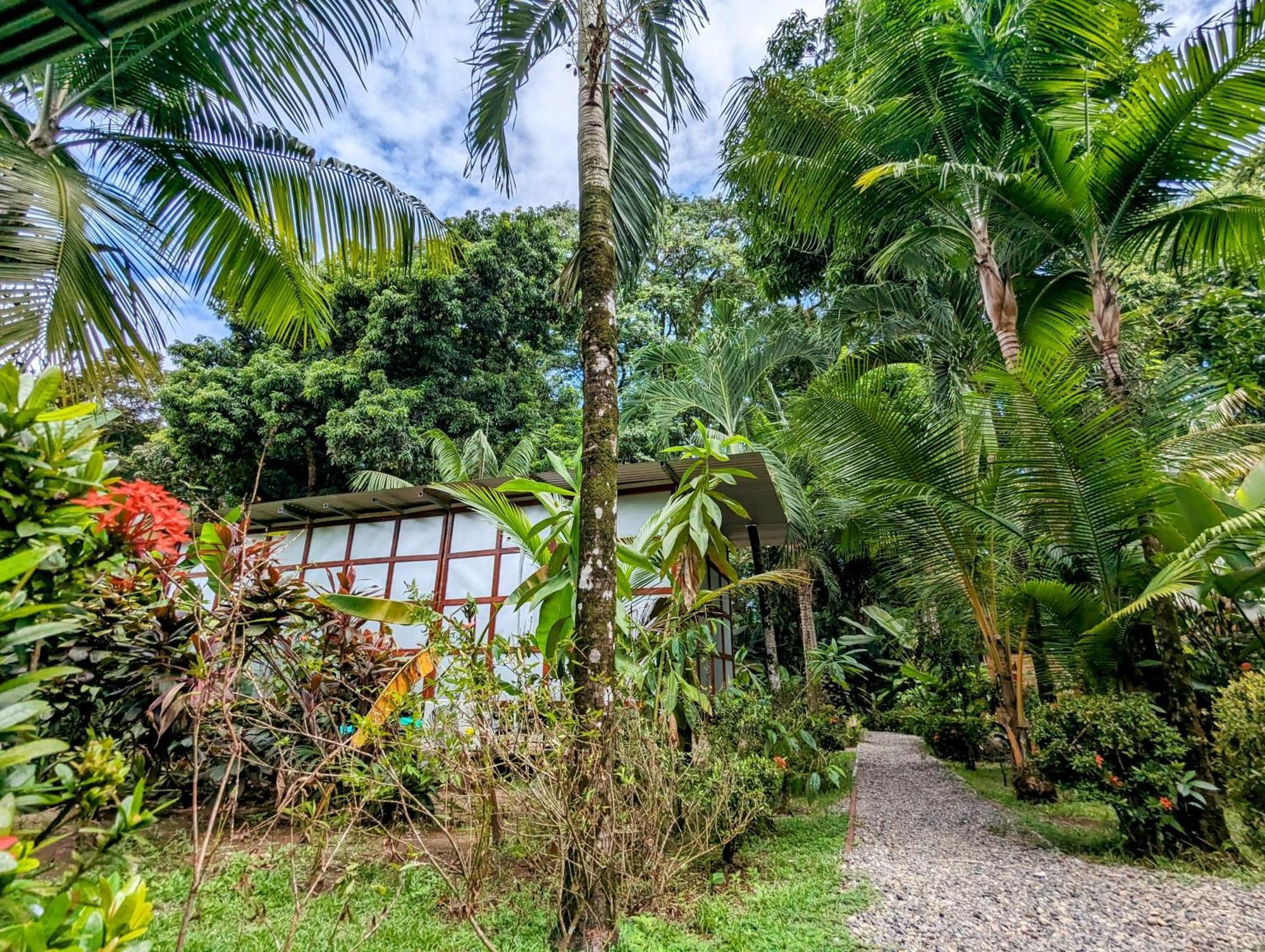 Arboura Eco Cabins Villa Uvita Exterior photo